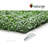 Boxwood 40"x40" Foliage Panel