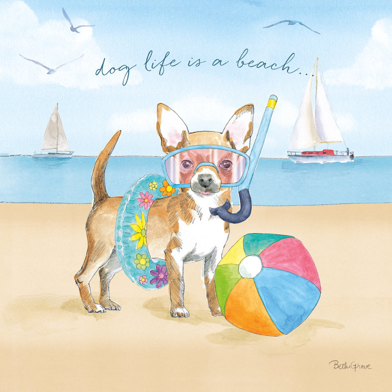 Summer Paws II, H 12 po x l 12 po