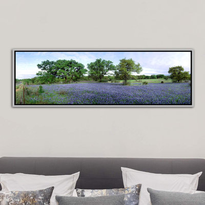 " Field Of Bluebonnets, Hill County, Texas, USA "