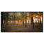 Lever de soleil sur la forêt d'automne - Photographie sur toile-746254676-746254763