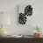 Toile tendue