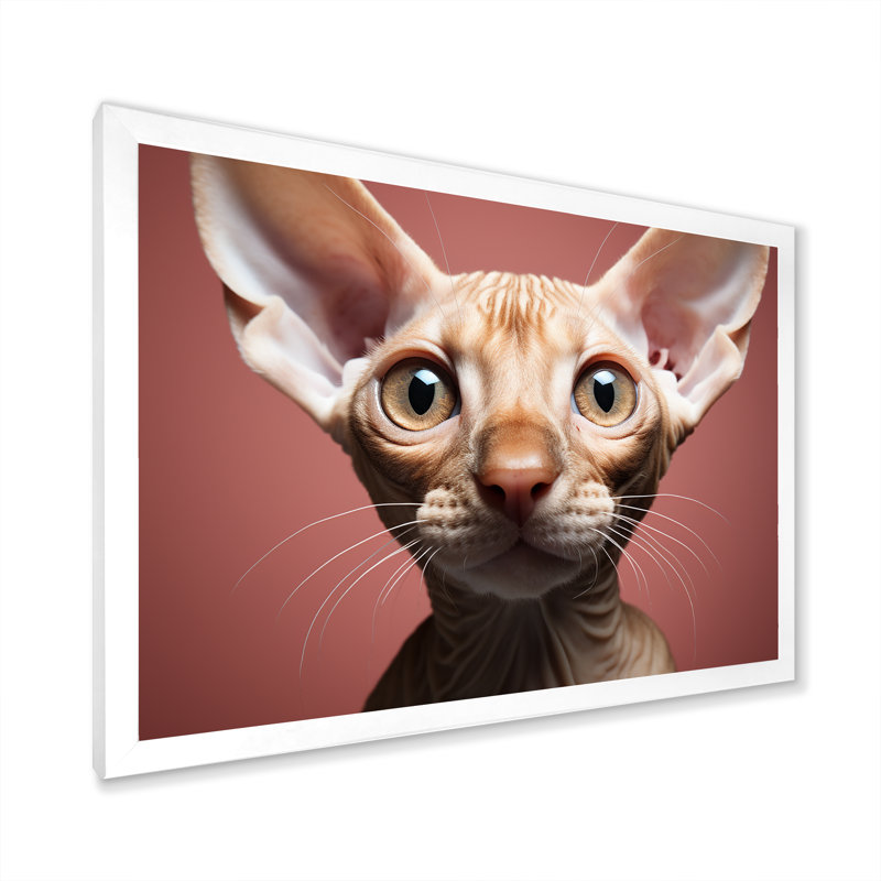 «Peterful Playfulness Cat Portait», reproduction d'art sur toile, H 24 po x l 32 po x P 1 po, Cadre simple blanc