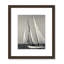 Amaryl Fair Wind par Danita Delimont - reproduction de photo encadrée-59881939-59881932