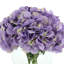 Hydrangea in a Round Glass Vase with Realistic Looking Acrylic Water-1940000655-1940000654