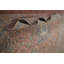 Tapis traditionnel rose 8 x 12