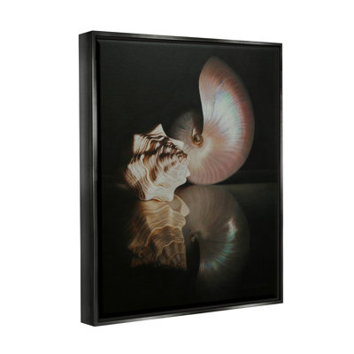Reproduction d'art giclée de coquillages foncés par Cecile Baird