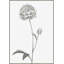 A Flower Of Day I Print by Janice Sadler-47479487-46339594