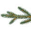 Real Touch Pre-Lit Cumberland Pine Artificial Christmas Tree - Warm White LED-1586354809