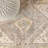 Peregrine Ornate Geometric Medallion Light Blue/Ivory Rug-908614992