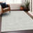Machine Washable Indoor/Outdoor Chayden ACN1058 Rug-743536290