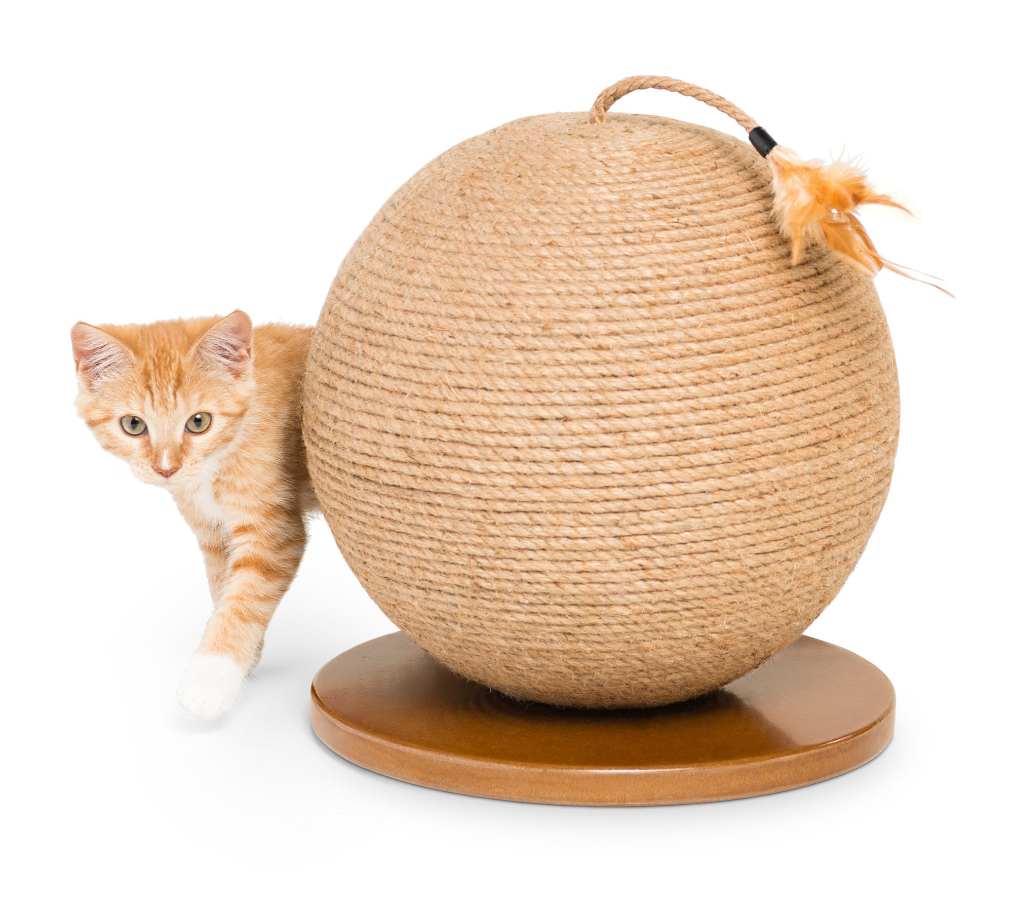 Tucker Murphy Pet™ Borrego Scratching Sphere Reviews Wayfair