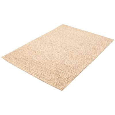 Iagulli Performance Hand Braided Wool Rug