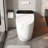 Smart One-Piece Elongated Toilet With Bidet, Heated Seat, Warm Air Dryer, UV-C Sterilization & Remote Control