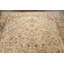 Ramintas One-of-a-Kind 7'11" X 11'3" Wool Area Rug in Beige