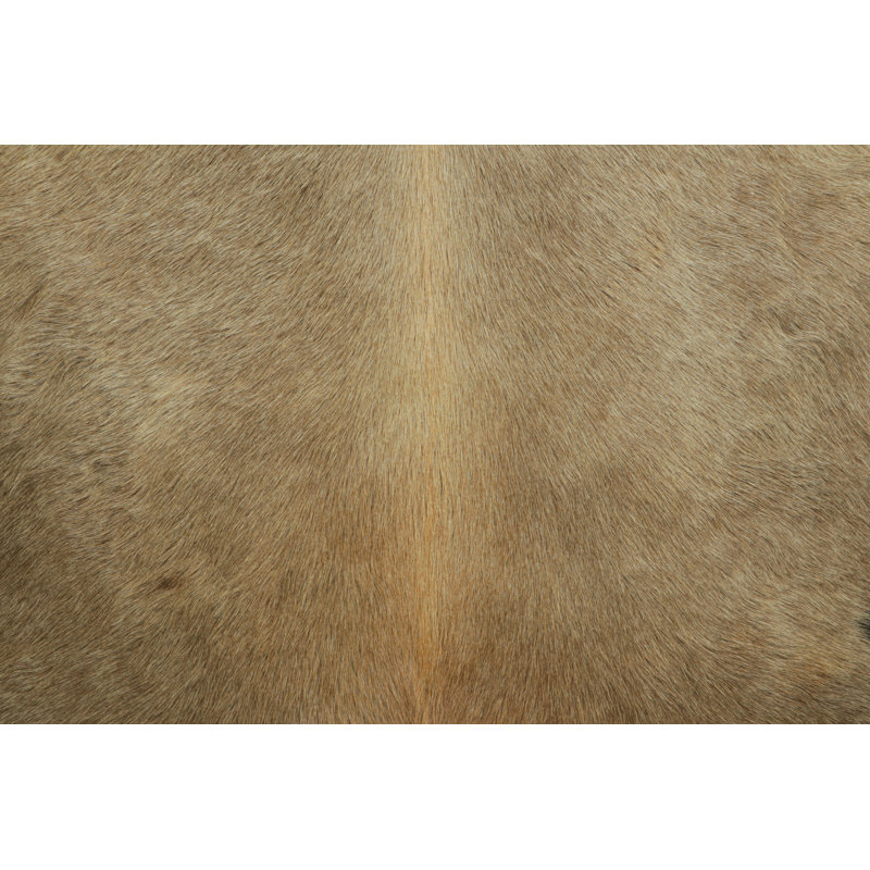 Rug & Kilim’S Extra Large Cowhide Rug In Beige-Brown And Cream Tones