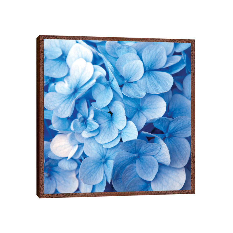 Blue Flowers - Print on Canvas, Brown Framed, 45.72 cm H x 45.72 cm W