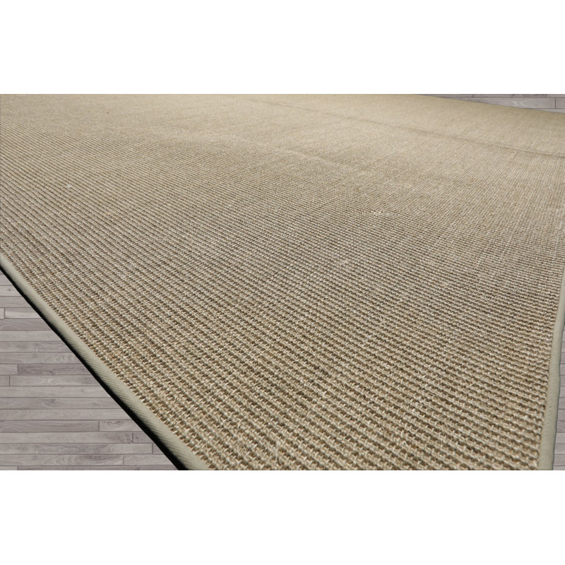 Tapis tissé à la main à motif sisal multicolore brun clair tissé à la main, Rectangle 10 pi x 13 pi