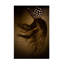 Art sur toile «olog Molog »-109321798