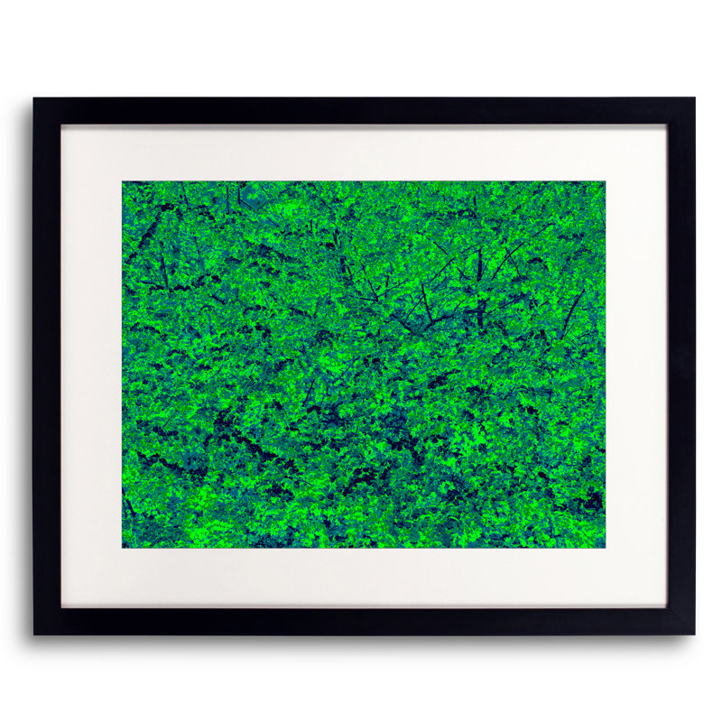 Drew Gaffney " Forest Awakening " by Drew Gaffney, Black Framed Paper, 24" H x 30" W