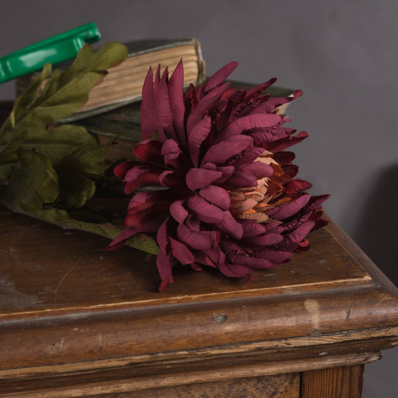 Anastasija Arrangement