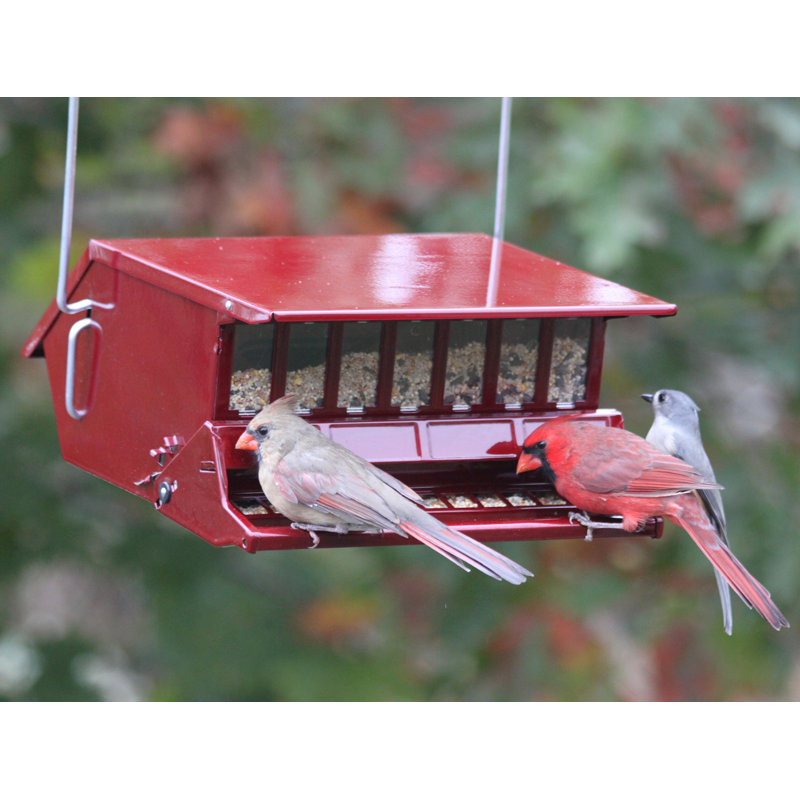 Mangeoire d’oiseaux à trémie