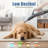 Pet Grooming Blower-119481814