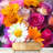 Border-93996772