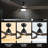 Elimelech 48'' Ceiling Fan with LED Lights