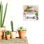 «Bathaign Flamingo DUO», impression sur toile tendue-77393342