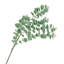 Eucalyptus artificiel Natural Touch