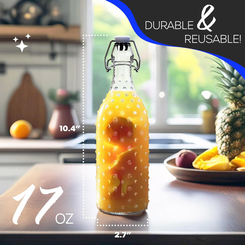 Bouteilles en verre de 500 ml (17 oz) à bouchon mécanique avec couvercle hermétique, à picots (lot de 12)

Bouteille en verre à bouchon à clapet avec couvercle