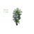 5ft. Areca Artificial Palm Tree UV Resistant (Indoor/Outdoor)
