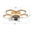 Franzius 20'' Ceiling Fan with LED Lights Remote