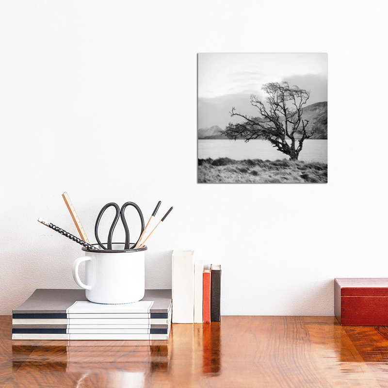 Connemara Tree I by Geoffrey Ansel Agrons - Wrapped Canvas Print, 30.48 cm H x 30.48 cm W
