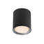 Flush Mount-2082423711