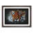 Walnut Framed