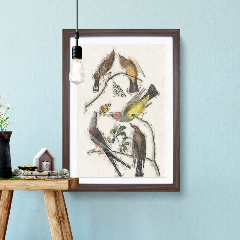 Flycatcher Birds by John Audubon - Picture Frame Painting Print, 65cm H x 48cm W x 2cm D, Walnut Framed
