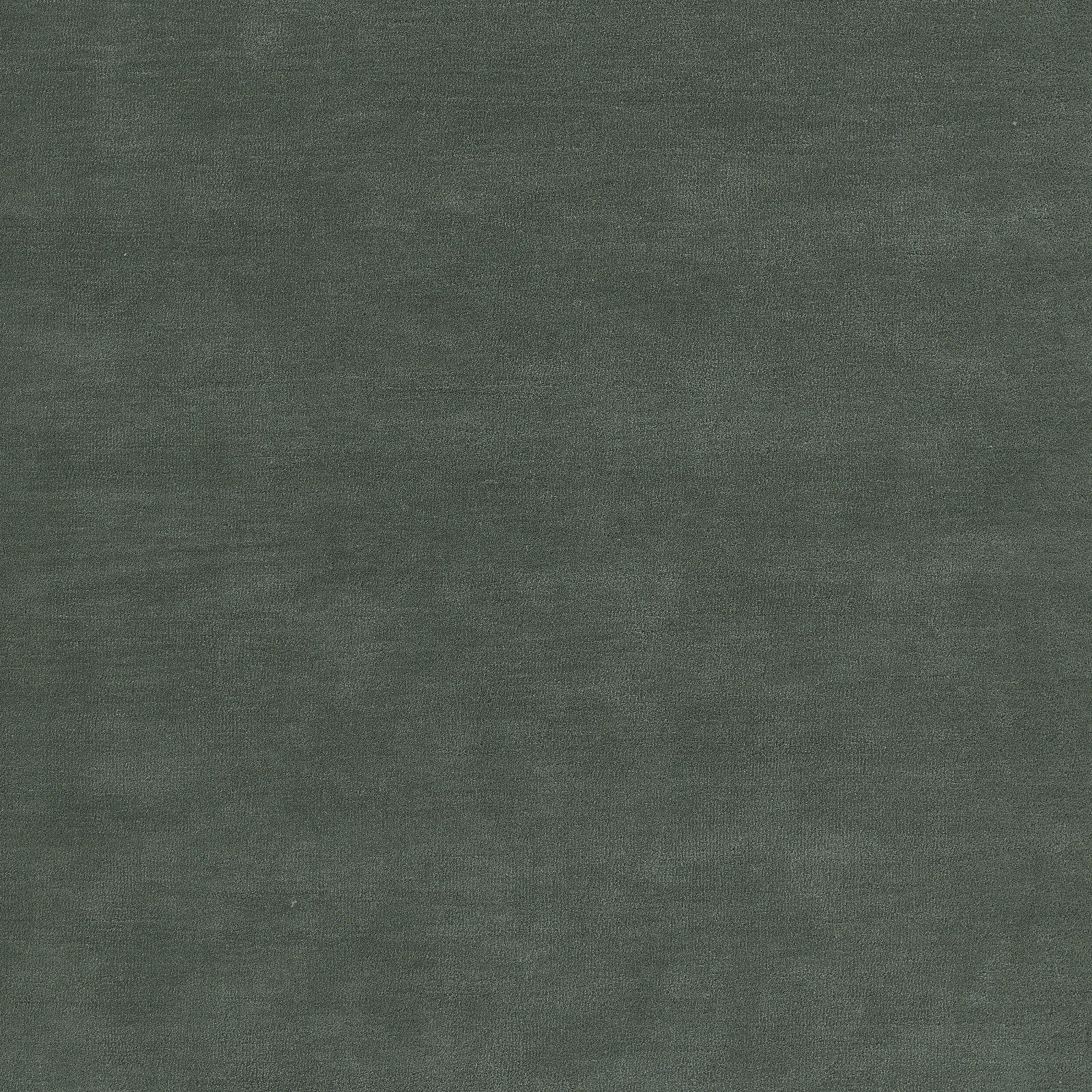 Hermione Green Beige Hand-Tufted Wool Rug, Rectangle 2' x 4'