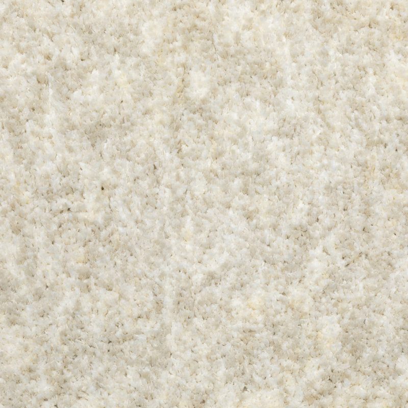 Tapis ivoire touffeté à la main Toronto, Rectangle 10 pi x 13 pi