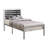 Tydarrius Metal Slat Bed