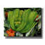  «Green Tree Python» par Tim Jeffs, art mural sur toile-476268813