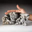 Véritable grappe d'ammonite fossilisée naturelle (2 lb)