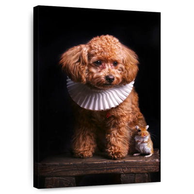 Drôle de caniche et de gerbille
