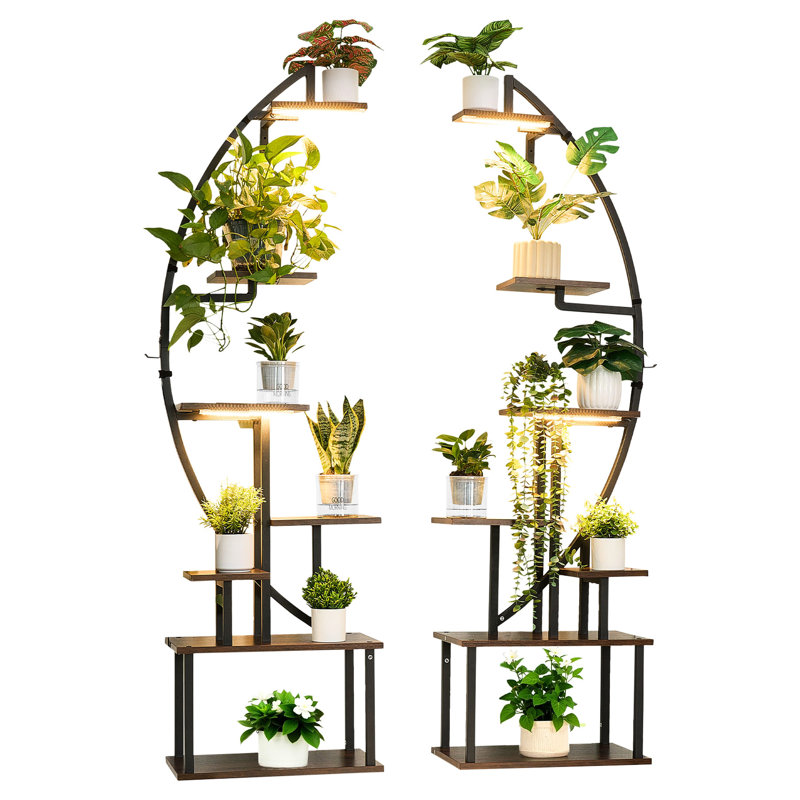 Support pour plante d'intérieur avec lumières de croissance, 7, 65,5 po de hauteur, 2 supports de coin en métal, 3 réglages de minuterie, 10 luminosité, support de présentation en demi-lune, fer brun et noir, 34,88 de profondeur, 18,03 de largeur, 6,72