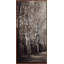 Oak Path Triptych A Print by Lillian August