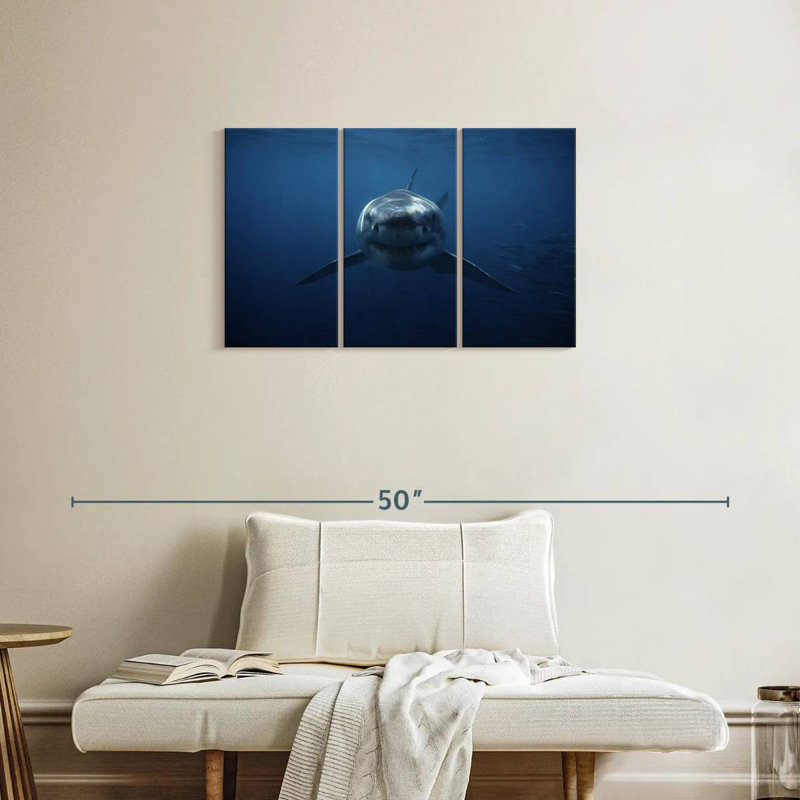 Requin-ronce traque, H 20 po x l 33 po