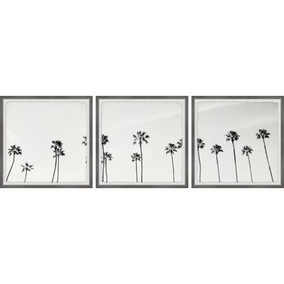 Triptyque de cocotiers en noir et blanc