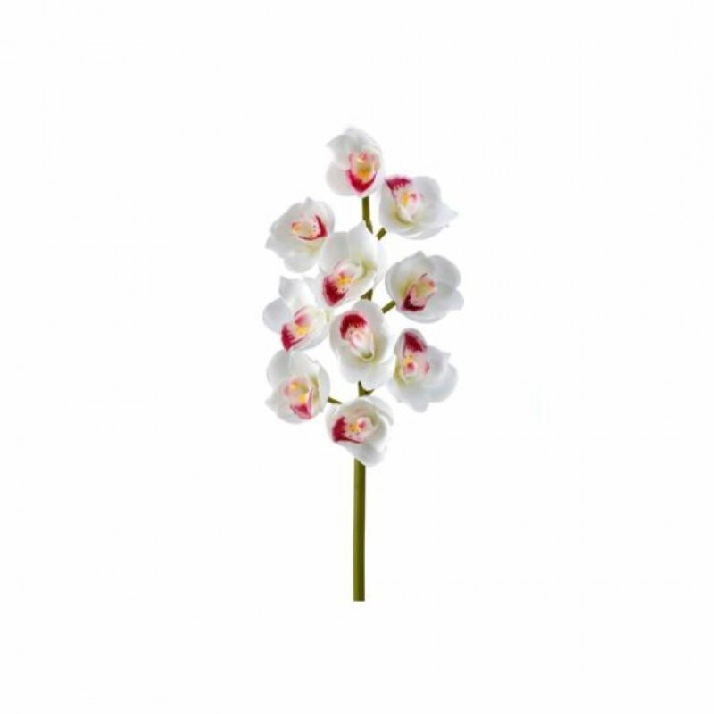 Vert avec fleur d'orchidée Cymbidium, Blanc, H 23 po x l 4 po x P 4 po