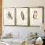 Petite chouette - impression encadrée sur mesure de qualité supérieure - 3 pièces-451118260-451118267