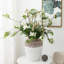 Vase en terre cuite 12 po
